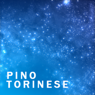 Pino Torinese Facebook group